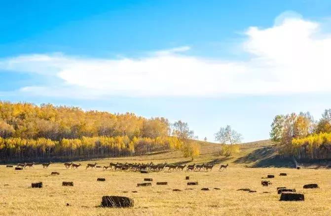 天津出发两小时能到达的地方,天津出发一日游坐火车