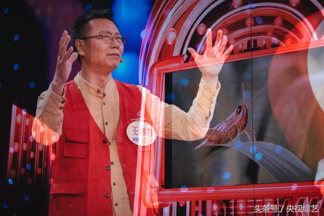 央视体育解说员刘星宇,央视篮球主持人刘星宇