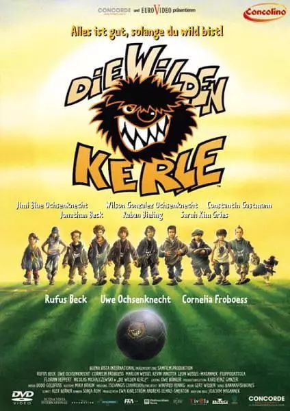 世界杯回顾全集,世界杯足球视频大全集