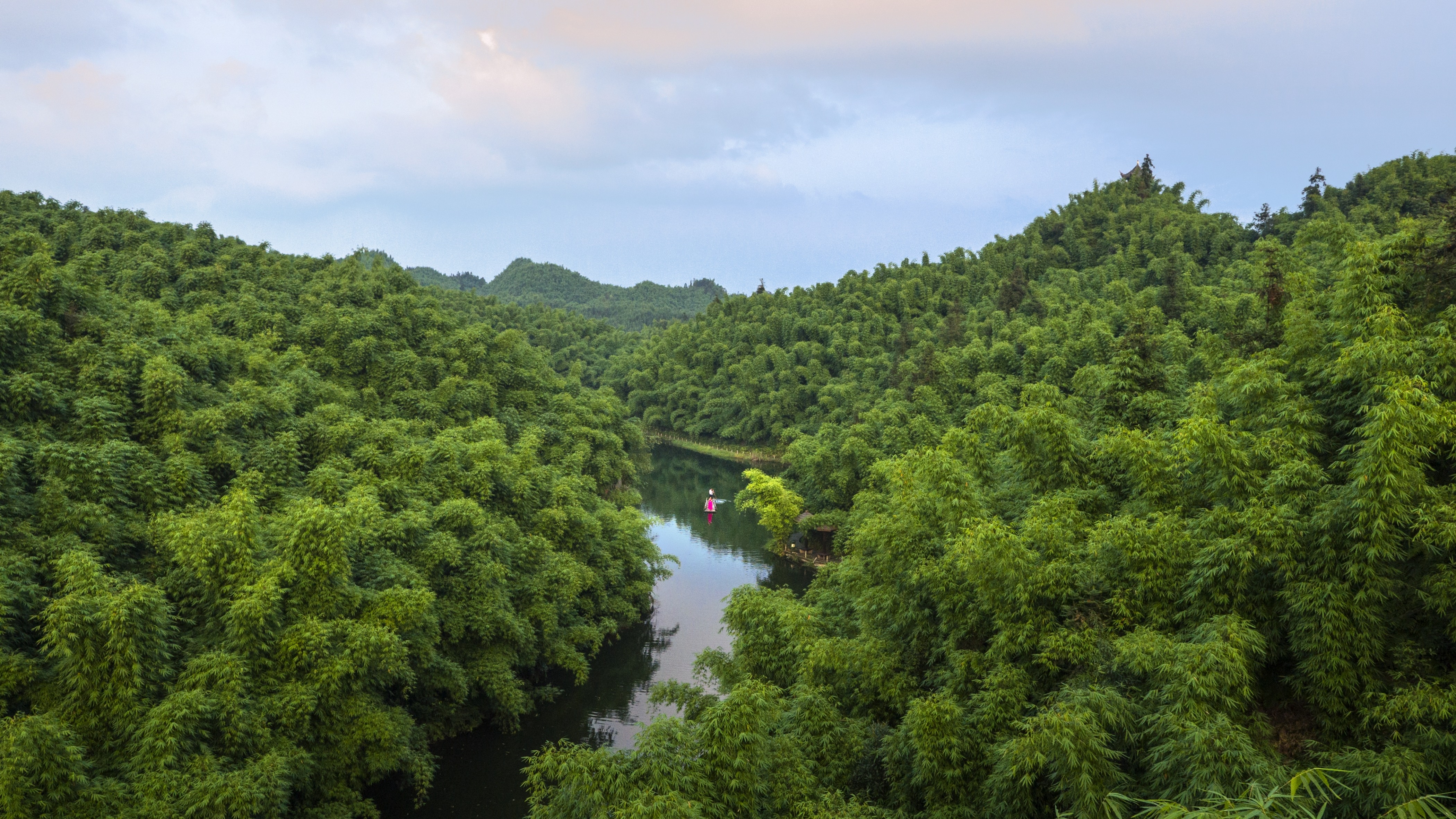 梅兰竹菊四君子你最喜欢哪种,梅兰竹菊四君子对应的花