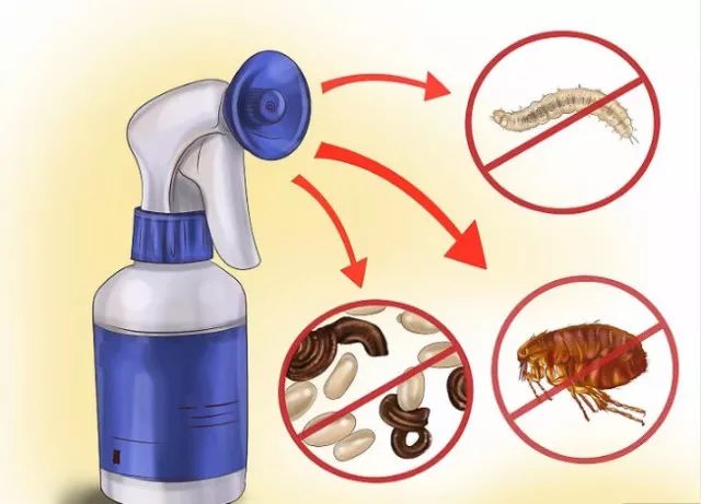 猫体内外驱虫滴剂示范,猫体内外驱虫多少钱