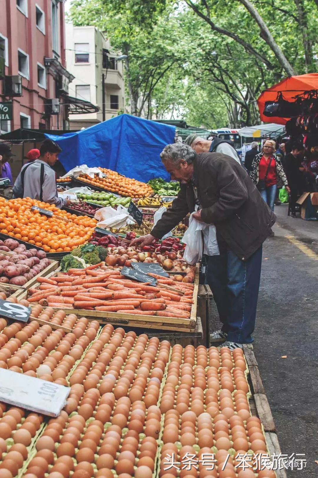十大最佳旅游国家孤独星球,2020年十大最佳旅行的国家