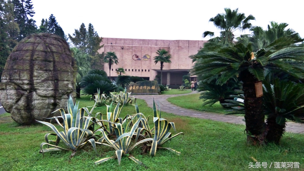 自贡恐龙博物馆展示是真恐龙吗,自贡恐龙博物馆可以现场购票吗