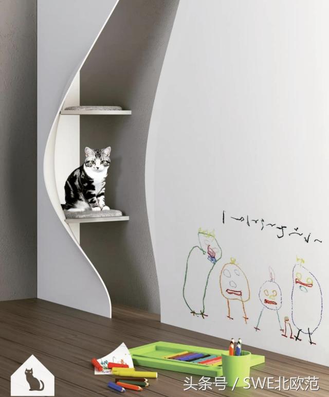 撸猫真的太快乐了,撸猫算是成功了吧