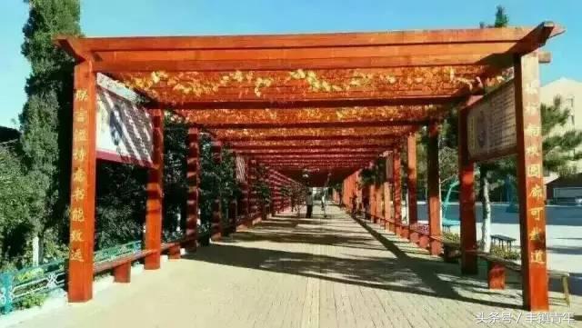 丰镇一中高中招生电话,丰镇中学今年招生情况