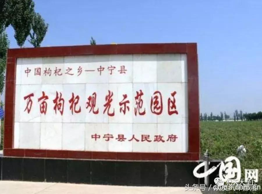 枸杞泡一大杯直接吃有什么好处,枸杞这样泡男性必看