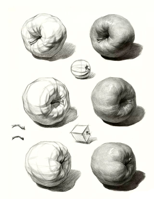 素描静物单体练习精品教程，非常详细，美术生看了都说好！