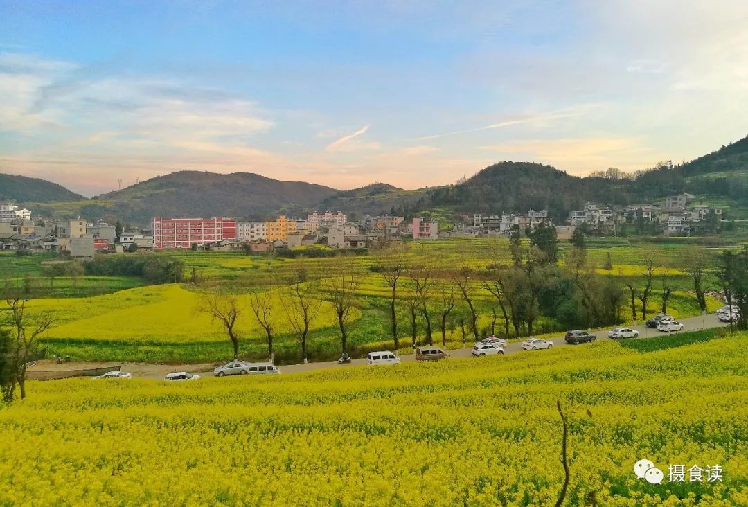 音乐收藏推荐,最适合旅行听的20首歌