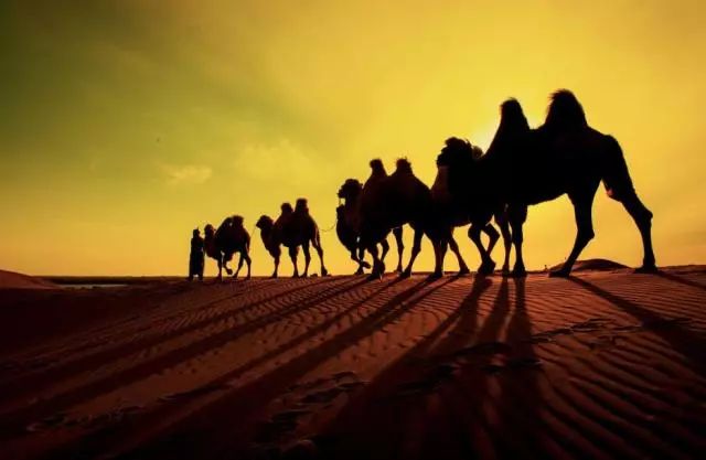 沙漠七星湖景区,迪拜沙漠探索票价