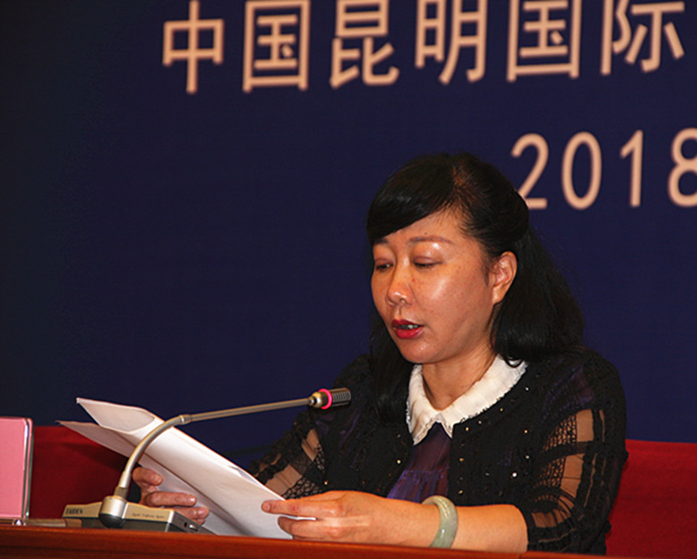 昆明石博会观赏石,昆明奇石博览会什么时候开始