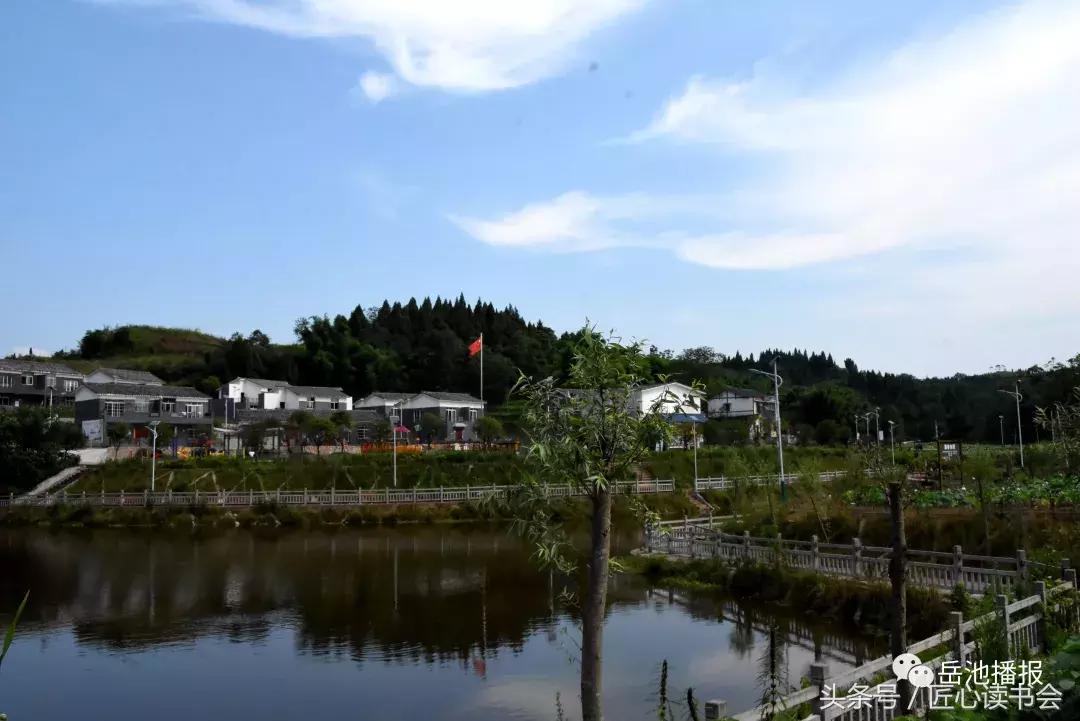 岳池北庙荷花节视频,四川广安荷花节