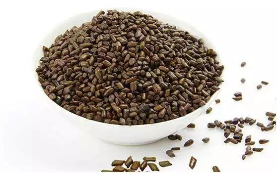 诊室也是小课堂，彭康告诫患者：头痛别忘查鼻窦、“三高”怎样防治、三七粉不应盲目服用……