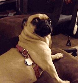 第一次听说完整版,第一次听说完整版在线观看