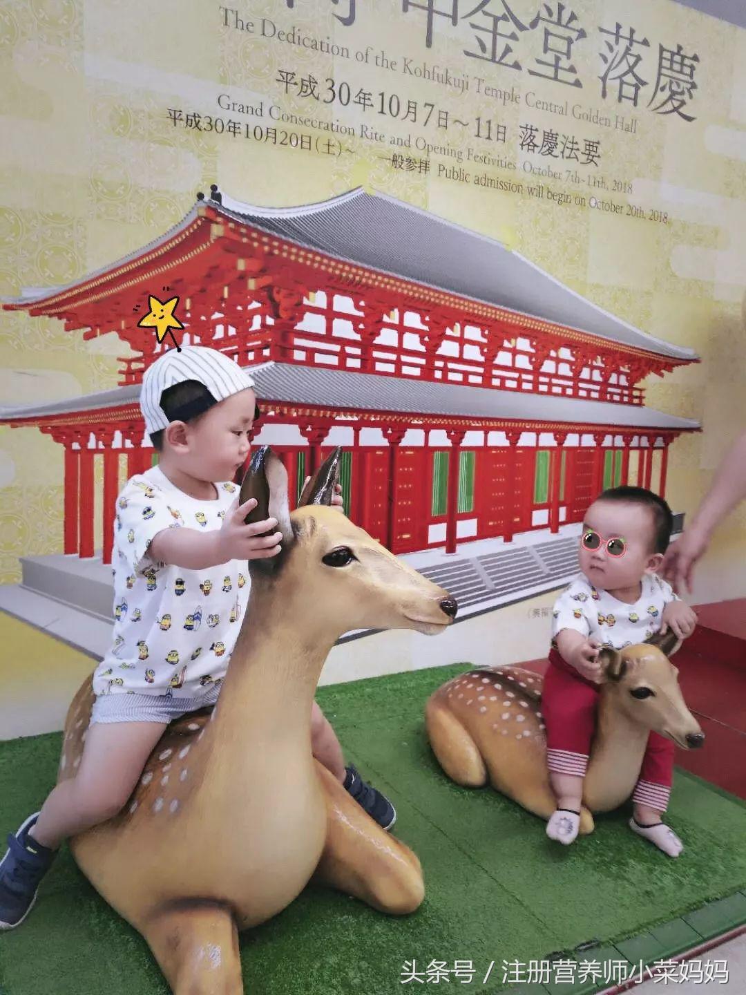 带娃去日本,照着做就对了