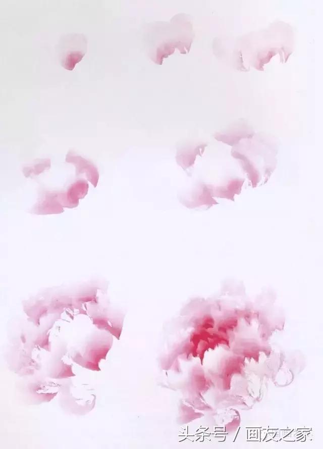 画写意牡丹用生宣纸还是熟宣纸,画写意牡丹用什么毛笔最好