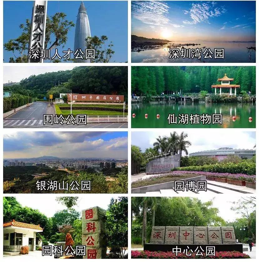 我叫深圳，这是我的个人简历，请查看！