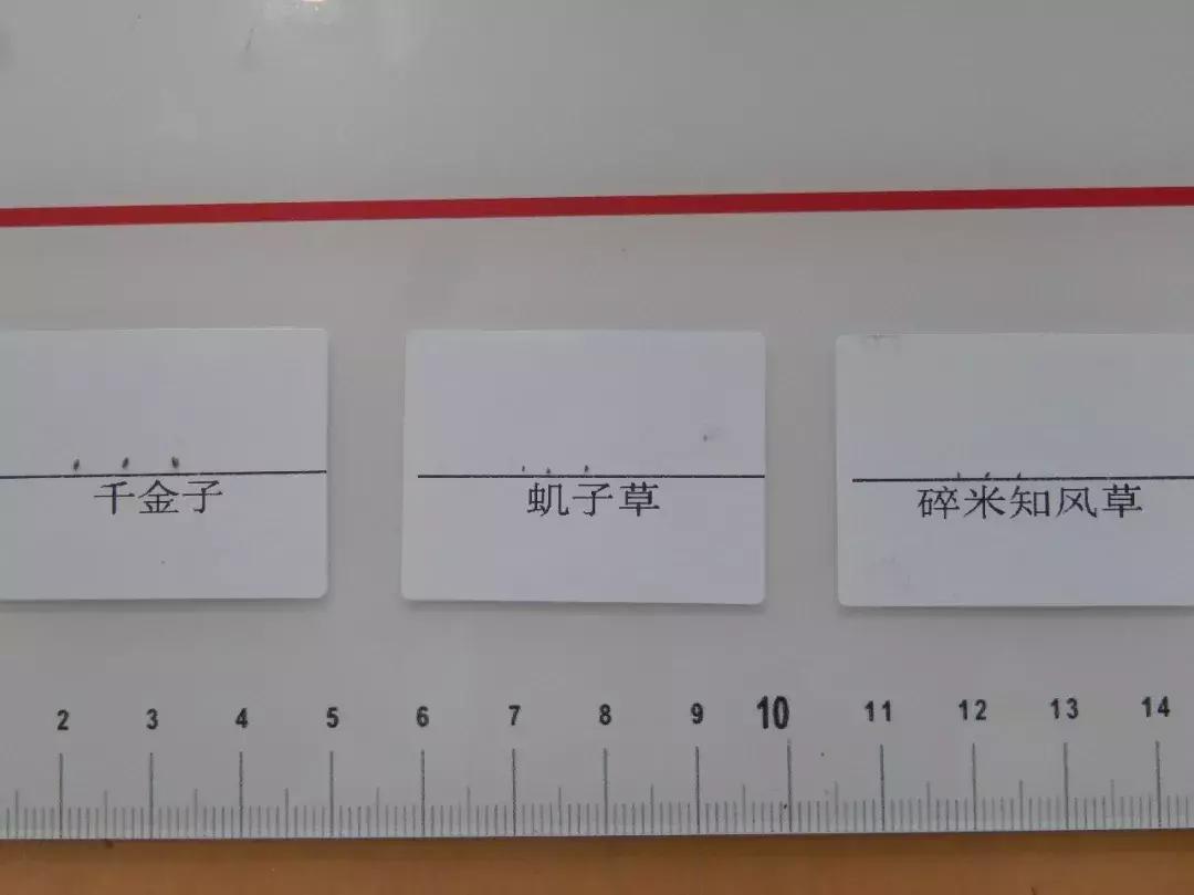 怎样辨别小麦田禾本科杂草,水稻杂草幼苗怎么鉴别