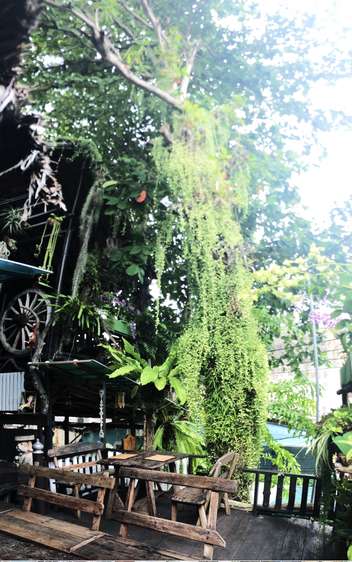 孕妇可以出国劳务吗,怀孕后可以出国旅行吗