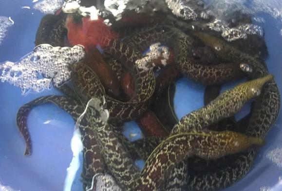 国庆不想人挤人？慢悠悠的北海、小清新涠洲岛可考虑~机票超便宜