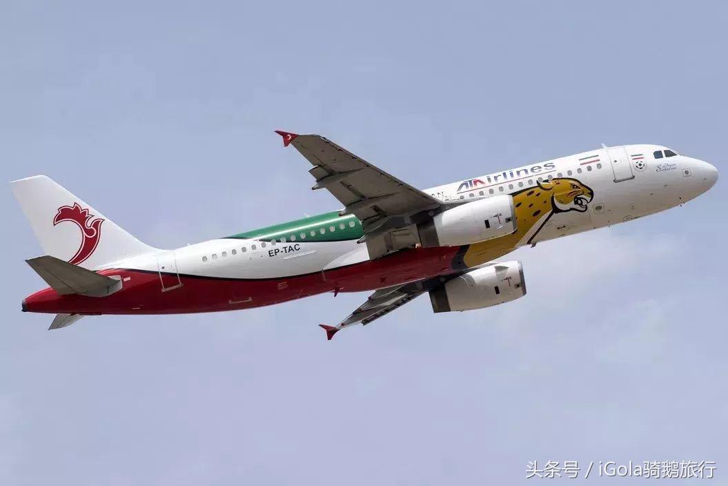 世界杯球队到达赛场,世界杯是要坐飞机去参赛地点吗