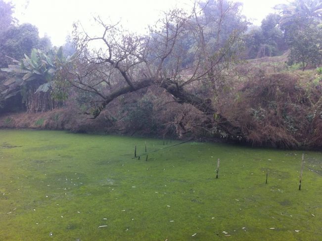 朋友讲述自己经历的灵异故事,亲戚朋友讲述真实经历