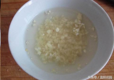 阳台除虫最好方法,阳台防蝇虫的方法