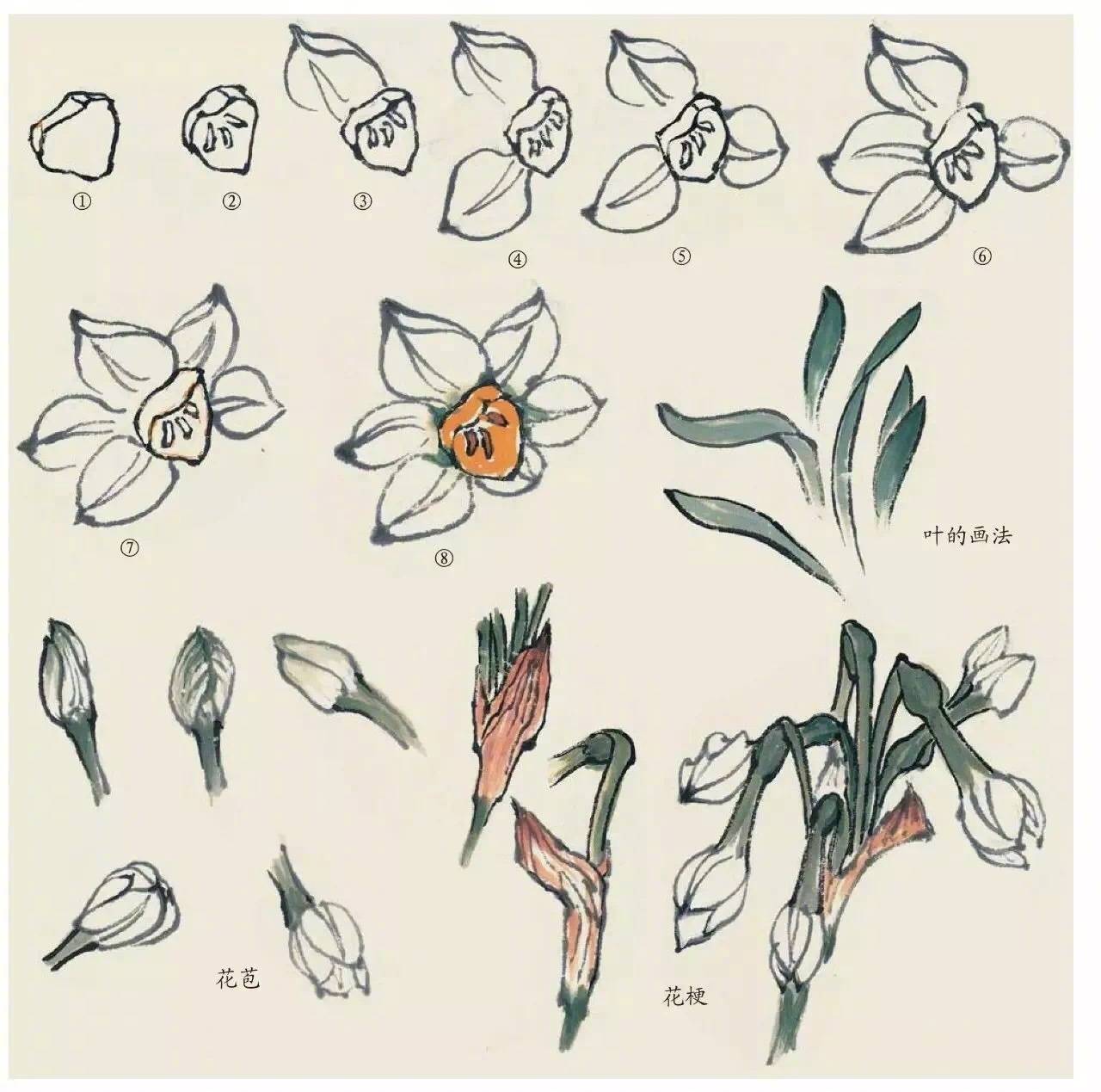 国画中的植物花卉小雏菊怎么画,国画花卉小品图片大全大图