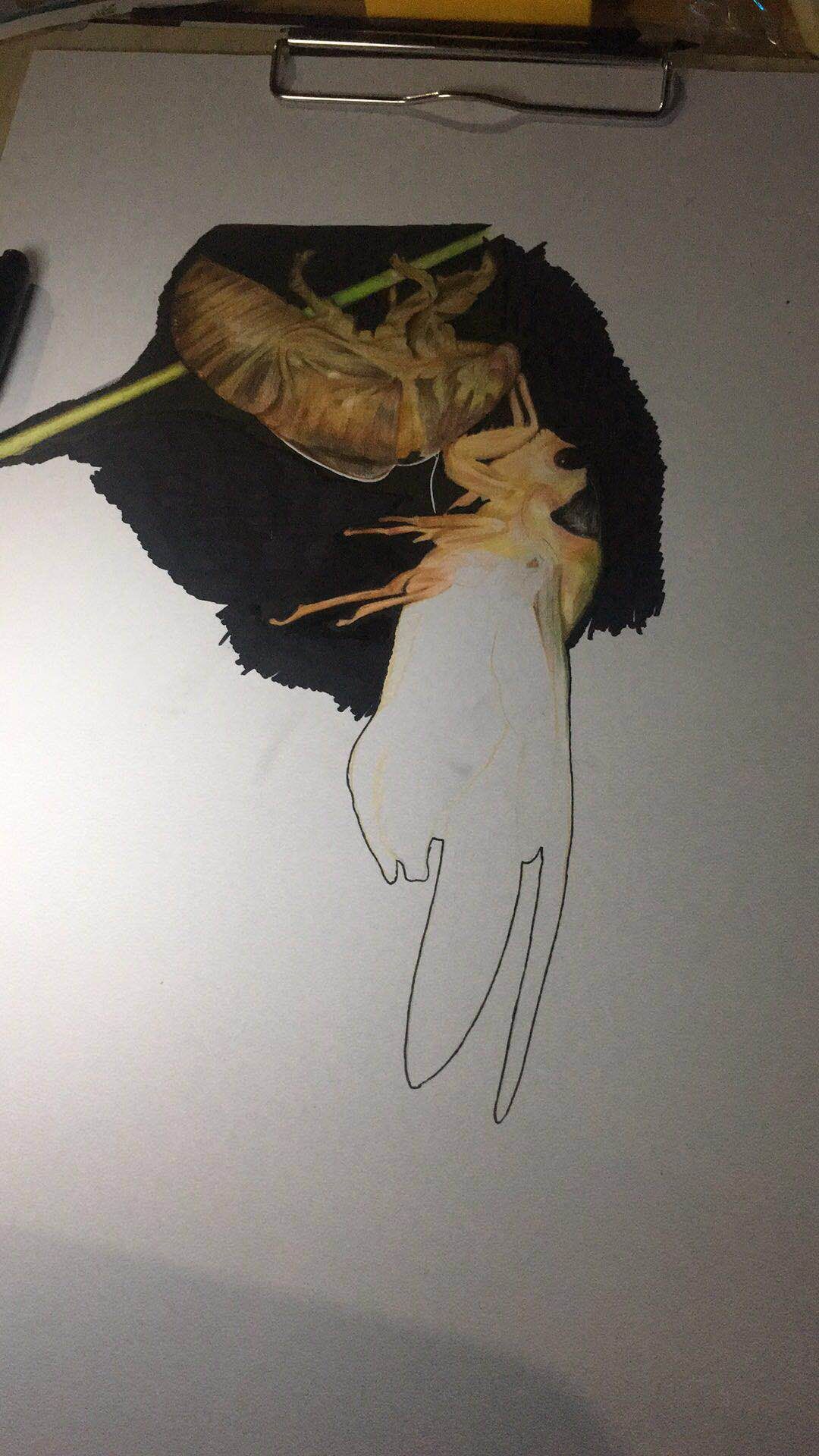 幸福原创画吧（7月10日）画友习作分享