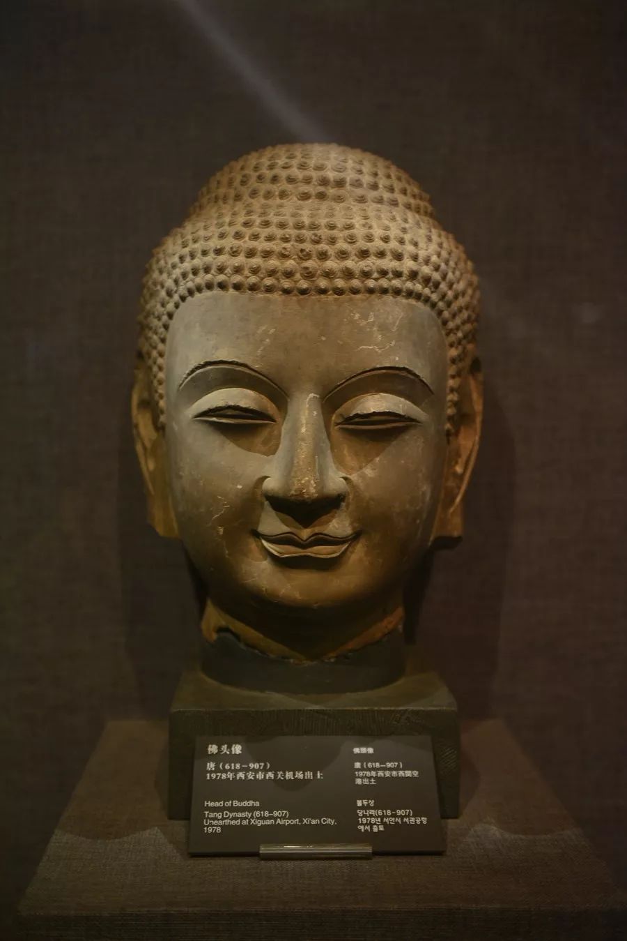 碑林怎么读,碑林的读音