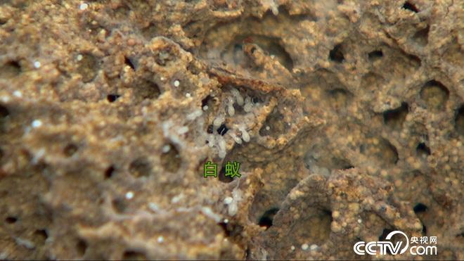 大学毕业干什么月入过万,大学毕业干啥好