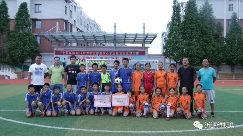 足球点亮梦想绿茵放飞希望简笔画,热爱足球运动追逐绿茵梦想