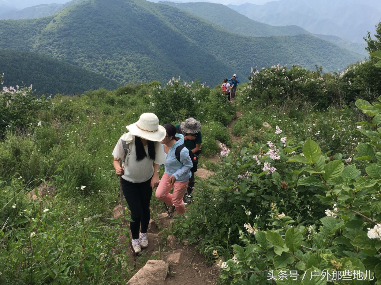 北京延庆小海坨山有什么好玩的,延庆海坨山一日游攻略
