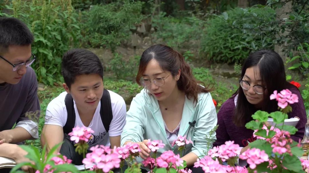 西南民族大学,西南民大网红校区