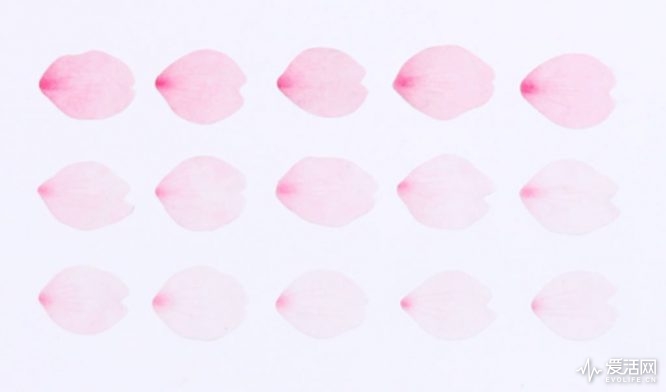 日本文具推荐文具大赏,最值得种草的笔