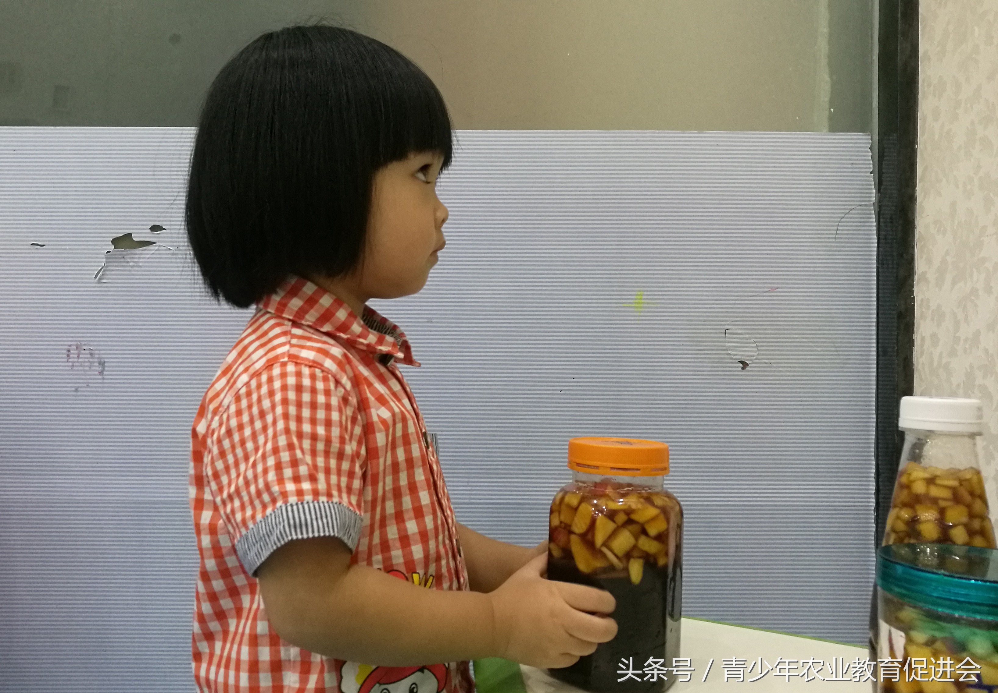 早教公益课堂记录,早教公益课活动目的