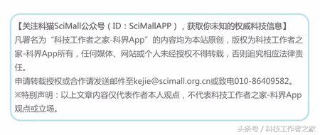猫和老鼠汤姆为什么有那么多形象,猫和老鼠中的汤姆
