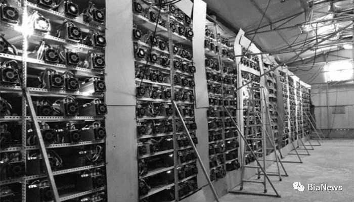 富二代进币圈当韭菜，“入手必套”赔了50万，不同的*场赌**相似的瘾