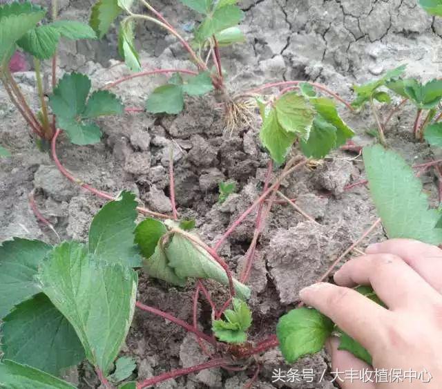 做到这7点疾病远离你,做到这7点让心血管健康一辈子