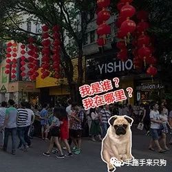 一周一会“仰忠汇”，我们快把北京路这栋楼吃遍了~