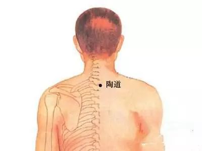 每日一穴阳辅穴,感冒一穴和感冒二穴