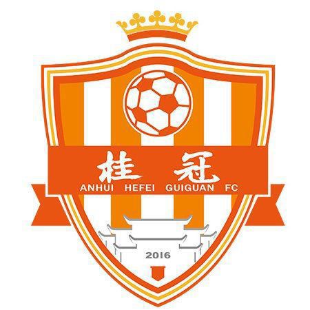 安徽合肥桂冠足球,安徽合肥城市足球队被处罚