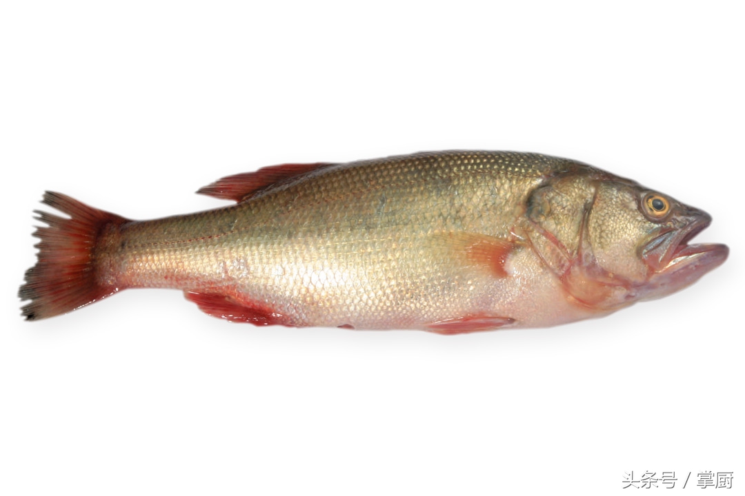 烤鱼只要方法正宗,烤鱼用炭火烤教程