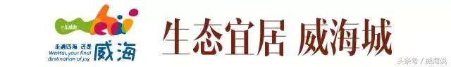 威海世界宜居城市排名,威海联合国宜居城市