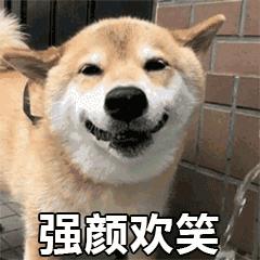 旅游走过最长的路骗局,旅游是说走就走还是做好攻略