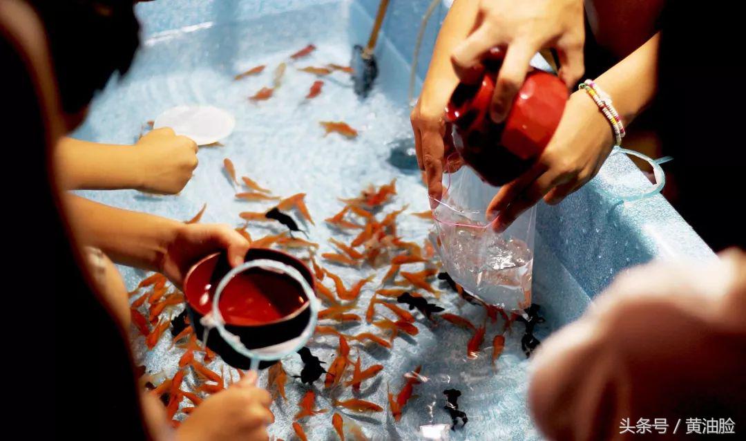 去日本必看的花火大会,日本夏日祭花火大会