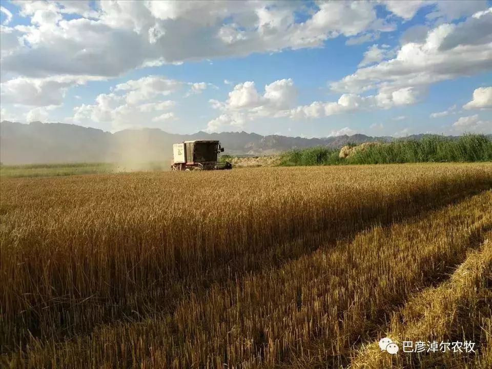 鸿雁知天下视频,2019鸿雁知天下