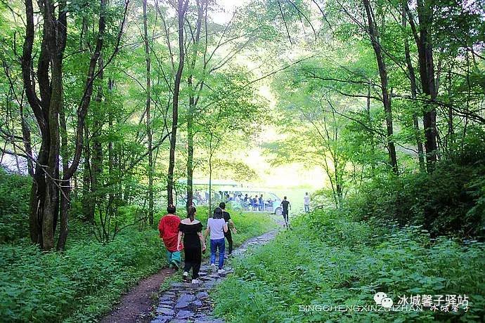 走进伊春的南大门,铁力给你一个不一样的夏天