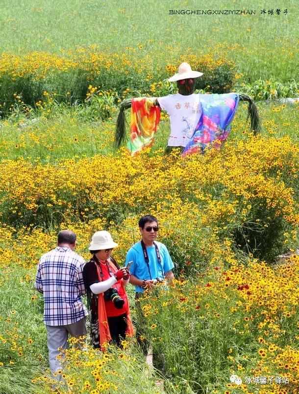 走进伊春的南大门,铁力给你一个不一样的夏天