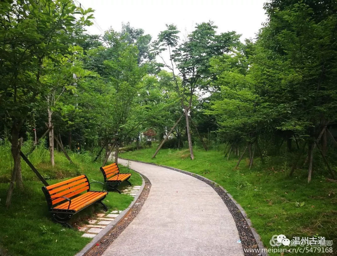 南白象塔全景图,南白象公园