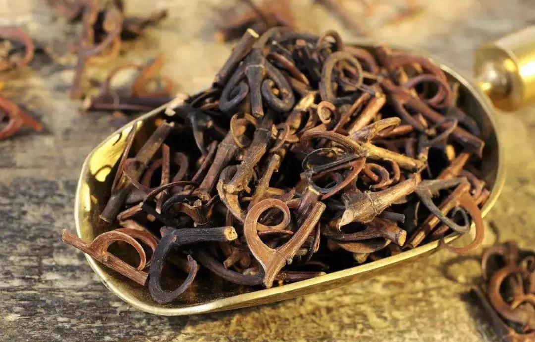 养生保健小知识如何养腿才健康,养生先养腿祛除寒湿百病消